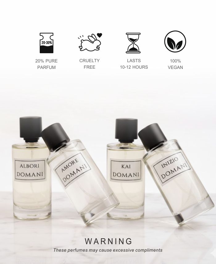 WhatsApp Image 2026-02-13 at 4.06.40 PM